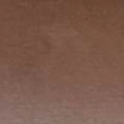Walnut stain finish sample